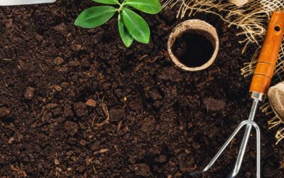 May Garden Check list for Zone 5: Creating Breathing Room for Your Growing Season