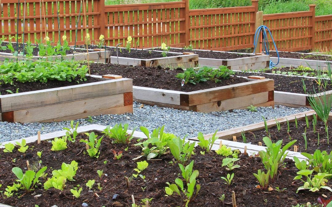 Join the Movement: How Farm Wives Are Taking Back Their Food Security (And How You Can Too)