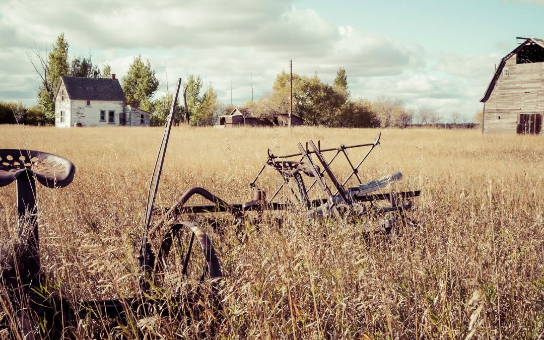When Farm Wife Stress Becomes a Health Crisis: The Warning Signs You Can’t Ignore