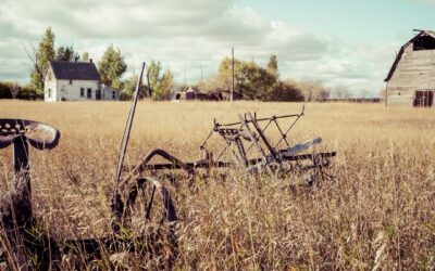 When Farm Wife Stress Becomes a Health Crisis: The Warning Signs You Can’t Ignore