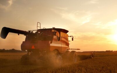 How to Survive Harvest Season as a Farm Wife (Without Losing Your Mind)