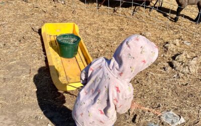 Why Farm Kids Stay Healthier (And How to Make Time for Outdoor Play When You’re Already Overwhelmed)