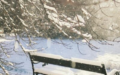 How to Find Peace as an Overwhelmed Farm Wife (Even When Everything Feels Like Too Much)