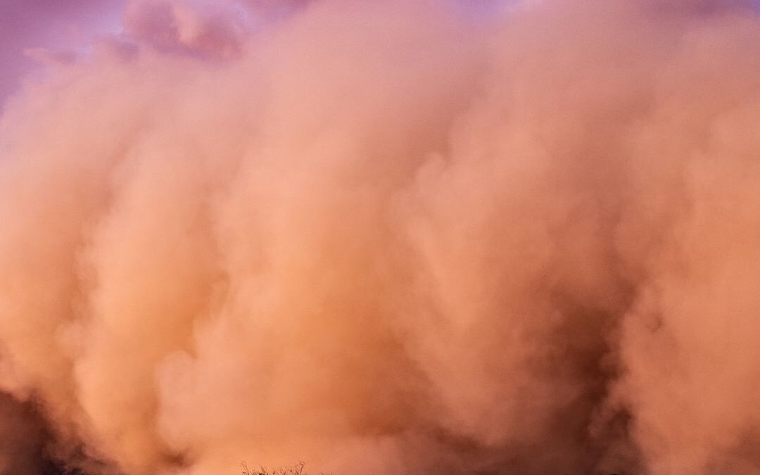 When Farm Finances Feel Like an Uphill Marathon (And What I Wish I’d Known Sooner)