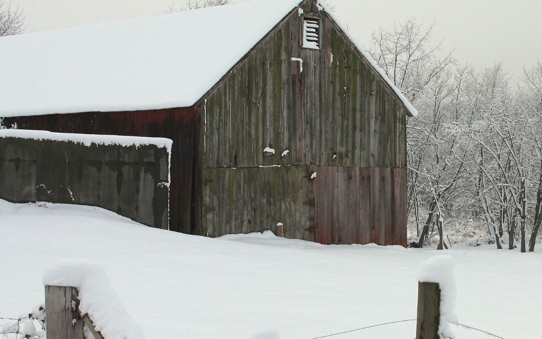 Farm Debt and Financial Stress: How Simplifying Saved Our Sanity (And Can Save Yours)