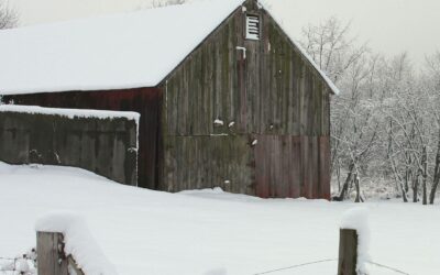 Farm Debt and Financial Stress: How Simplifying Saved Our Sanity (And Can Save Yours)