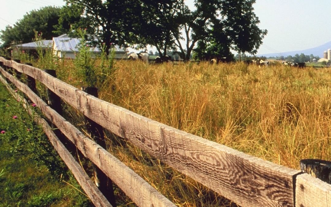 When the Bank Calls Your Notes: What I Wish Someone Had Told This Farm Wife