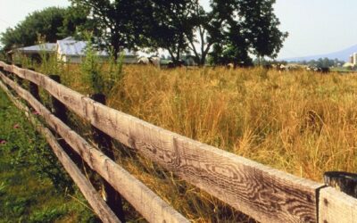 When the Bank Calls Your Notes: What I Wish Someone Had Told This Farm Wife