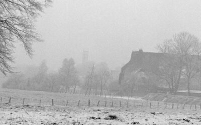 Budgeting Tips for Farm Families: How to Thrive—Not Just Survive—on a Tight Budget