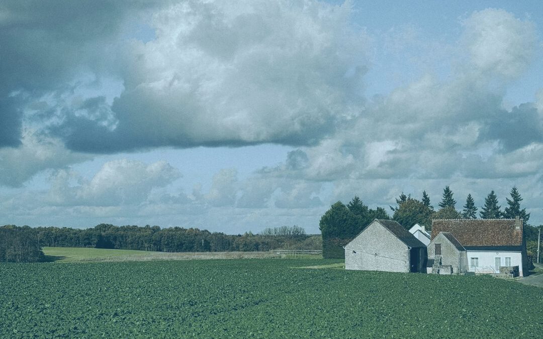 When the Storms Came (And Kept Coming): Our Farm Bankruptcy Story