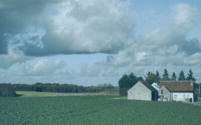 When the Storms Came (And Kept Coming): Our Farm Bankruptcy Story