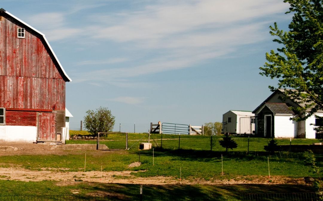 building a positive family in hard times