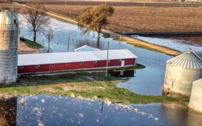 When the Farm is Drowning in Debt: What Nobody Tells You About Finding a Way Through