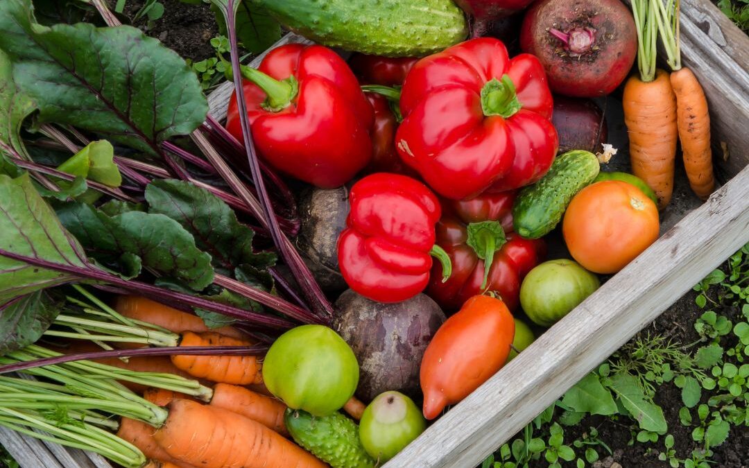 Let Food Be Thy Medicine: One Farm Wife’s 8-Year Journey to Healing Her Gut and Getting Her Life Back