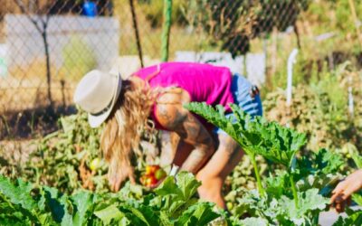 Summer Garden To-Do List for Busy Farm Wives (That Actually Works)