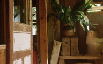 The Biggest Mistake in Homesteading (And How to Avoid It)