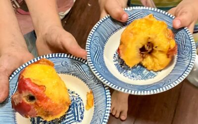 Real Food Snacking on a Farm Budget: What Actually Works for Busy Rural Families