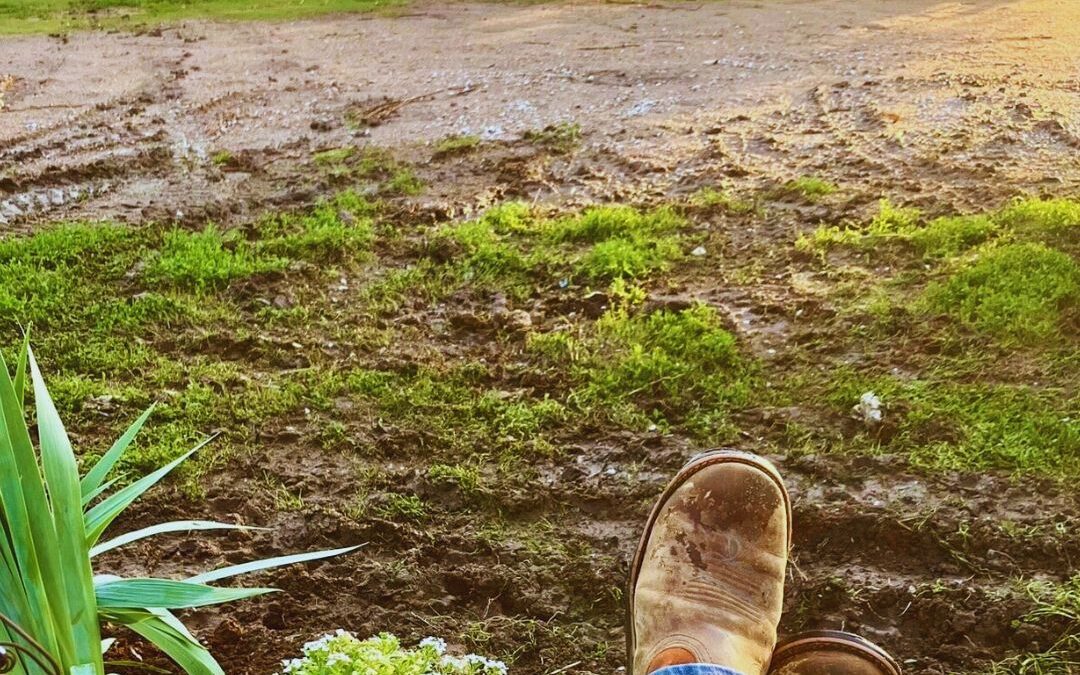 summer afternoon relaxing